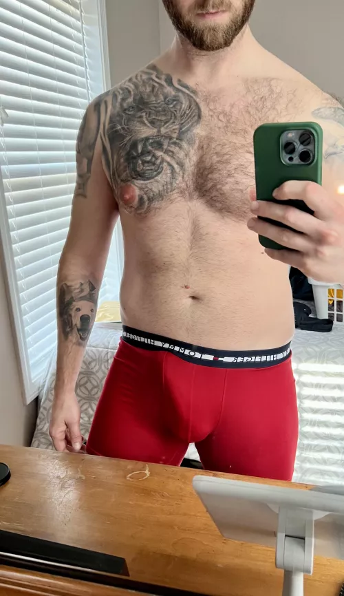These briefs don’t leave much to the imagination