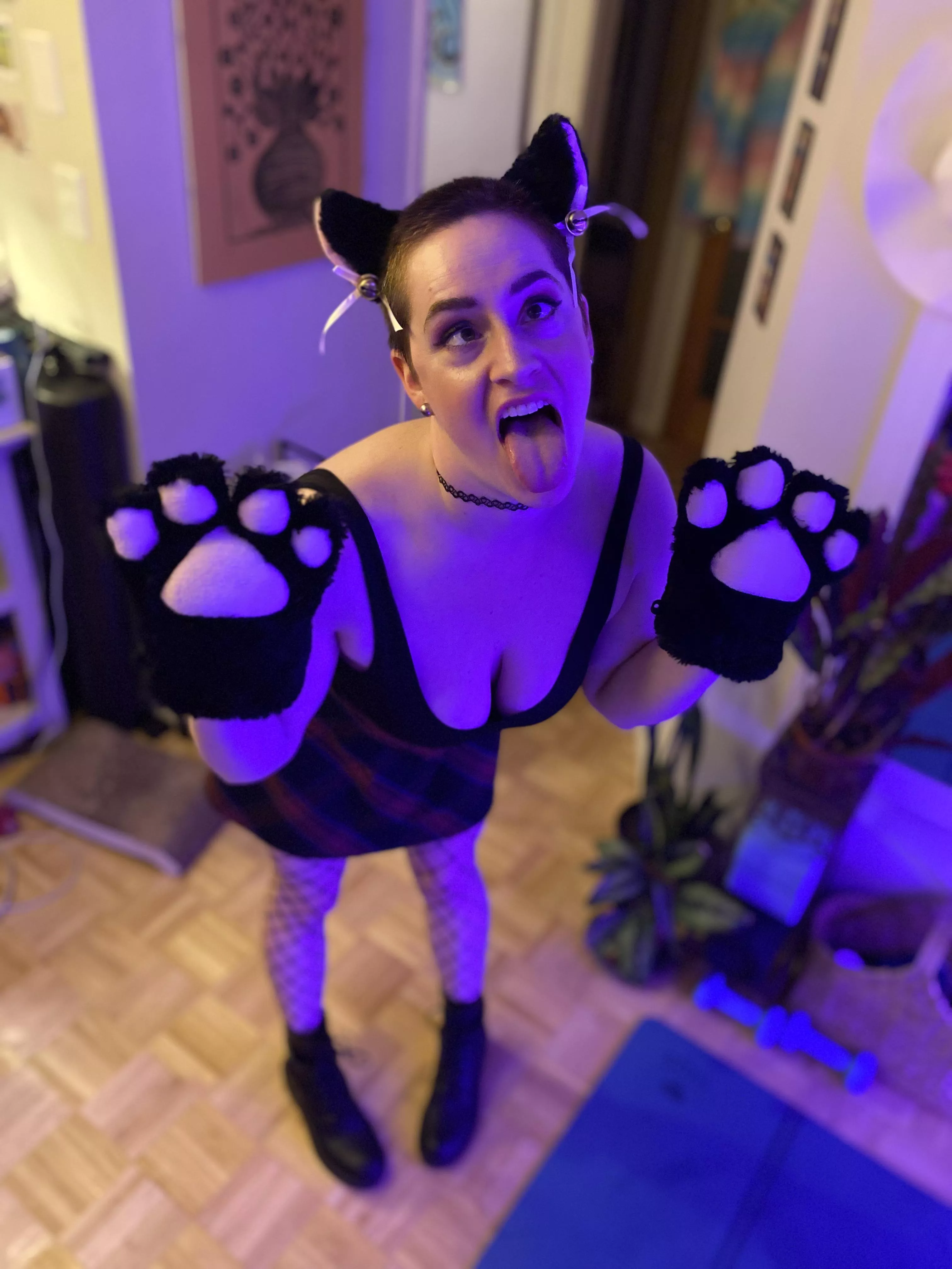 thirsty kitty 😋💕