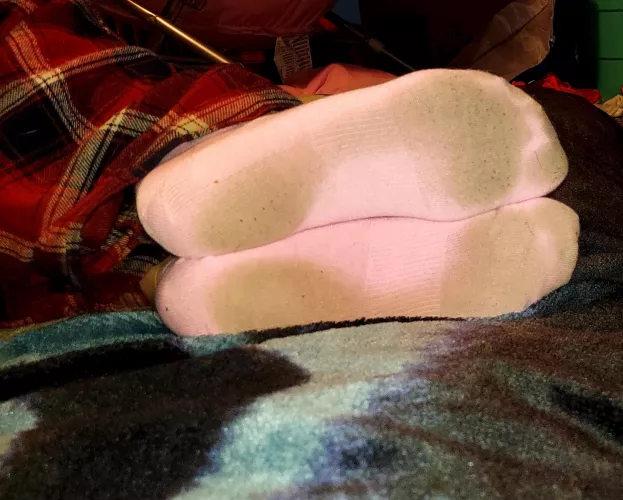 thought these socks looked cute. what do you think?