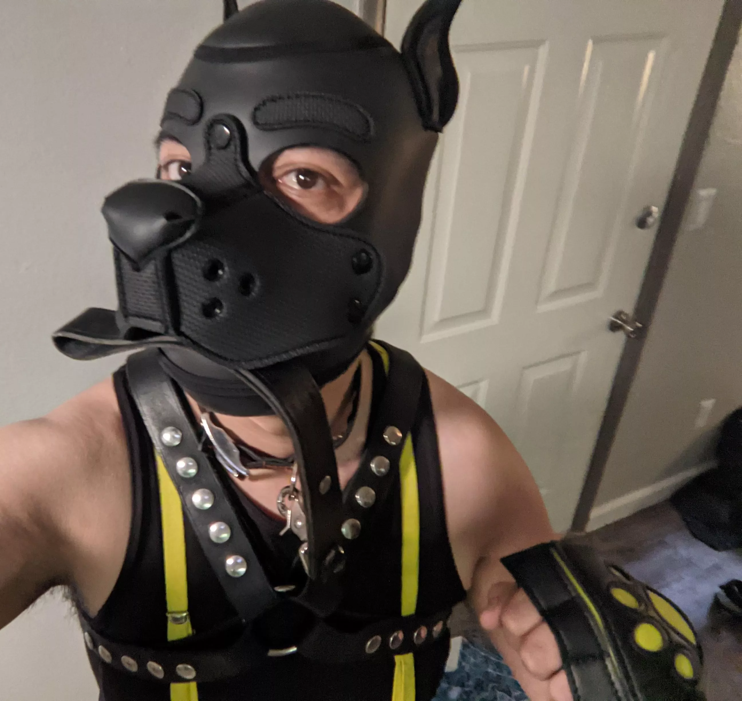 Time for a walk?🐾