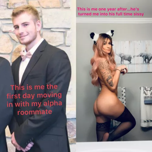 Timeline caption 🙈