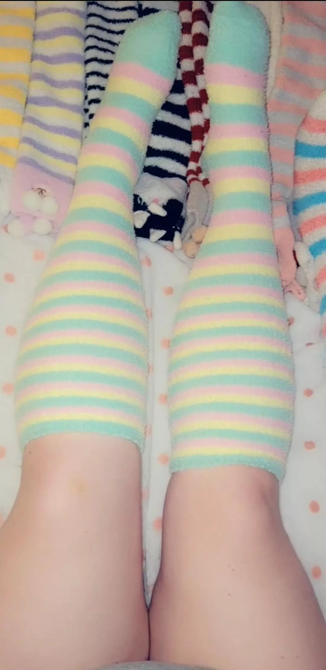 Tough choice but I picked my fuzzies for the day 💕