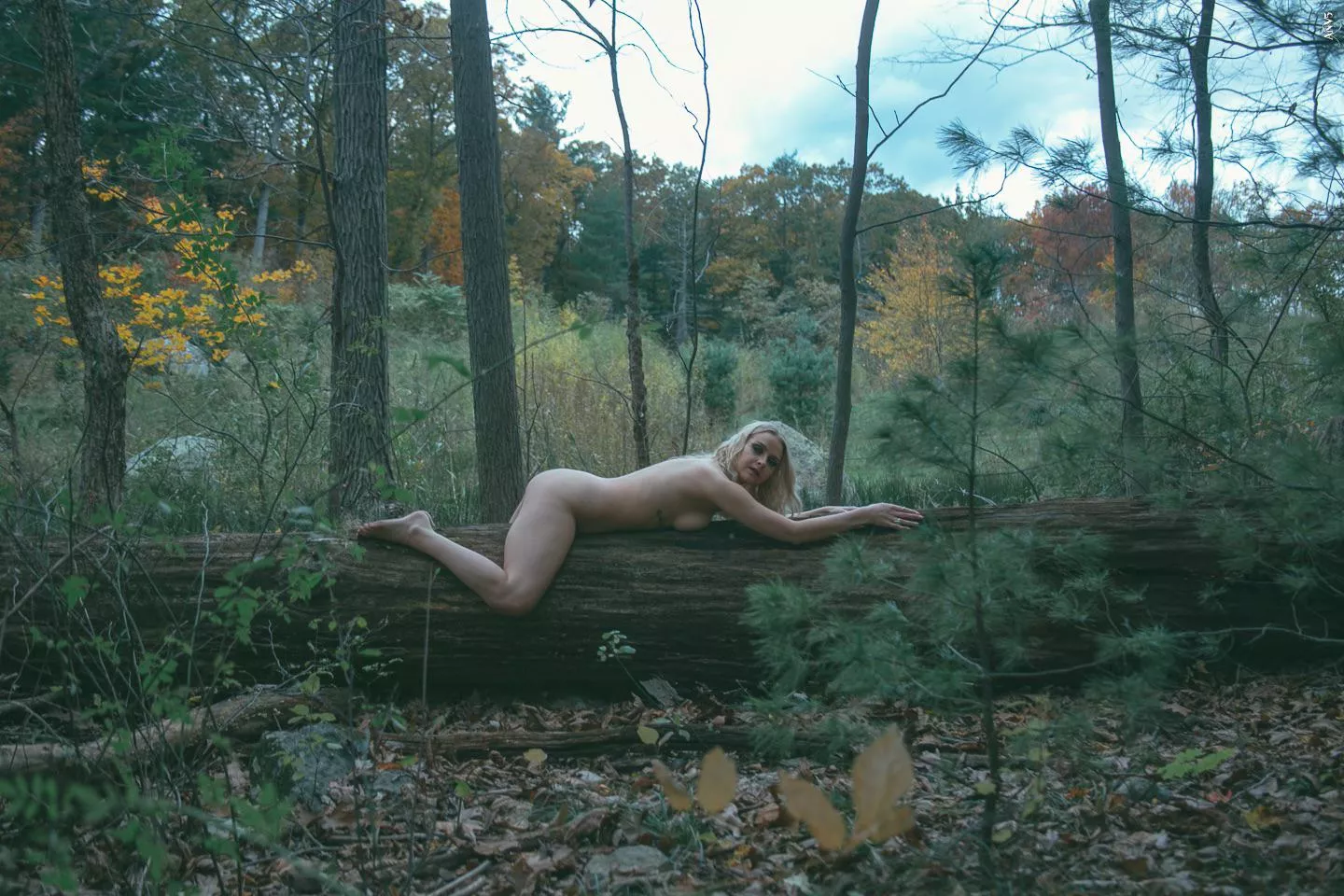 Tree hugging isn’t just for right side up