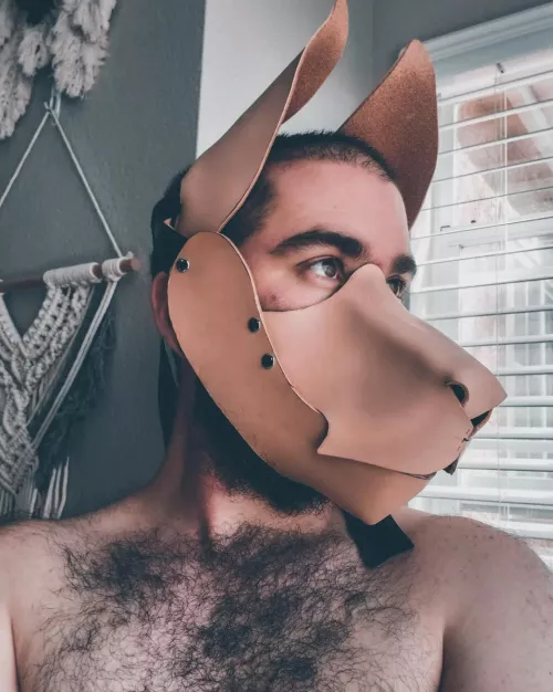 Trying out my new half hood prototype