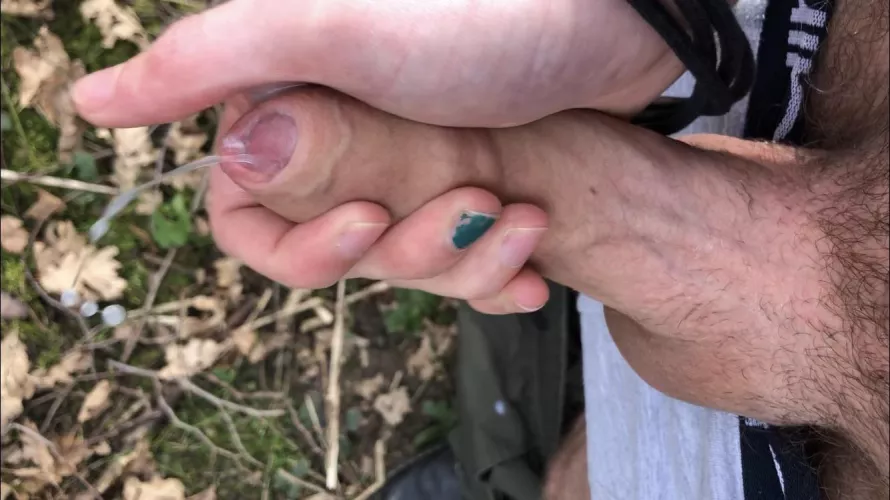 Unloading in the woods