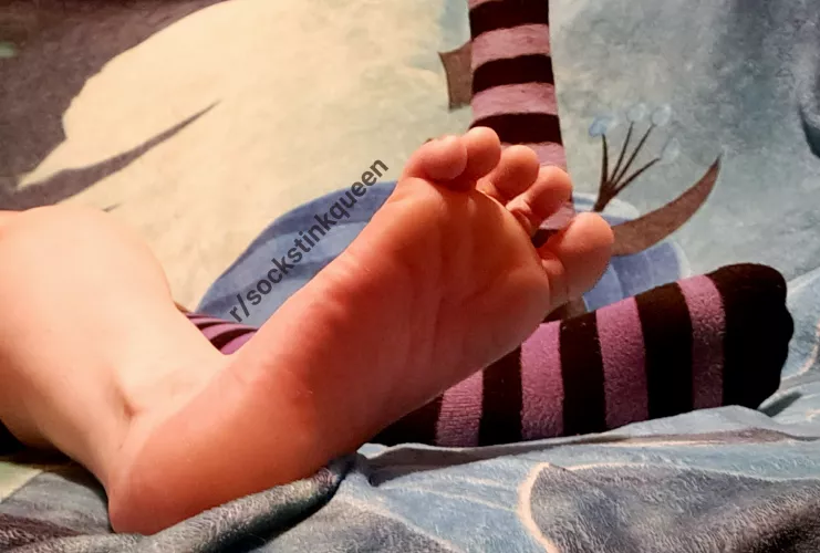 [US][Selling] Selling Well Worn Socks - $25 for 24 hours - shipping included! - cashapp only - DM ME