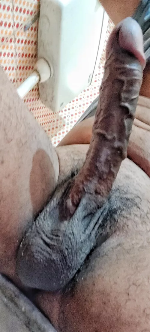 veiny big cock