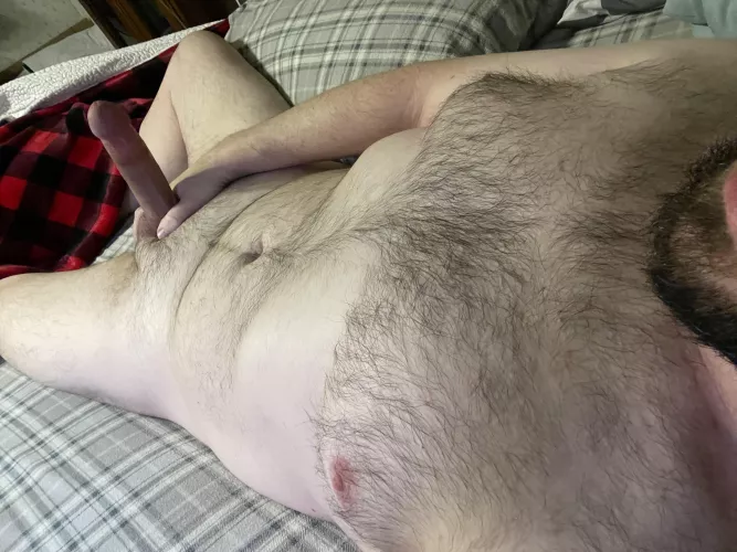 Want an otter for bedtime 🥺