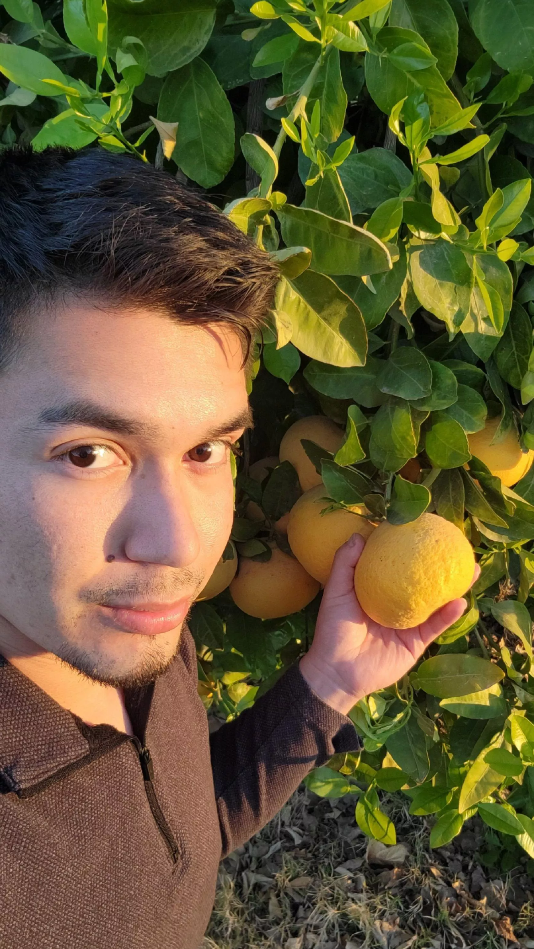 What are your plans for the week? Please tell me, I need ideas.🙂