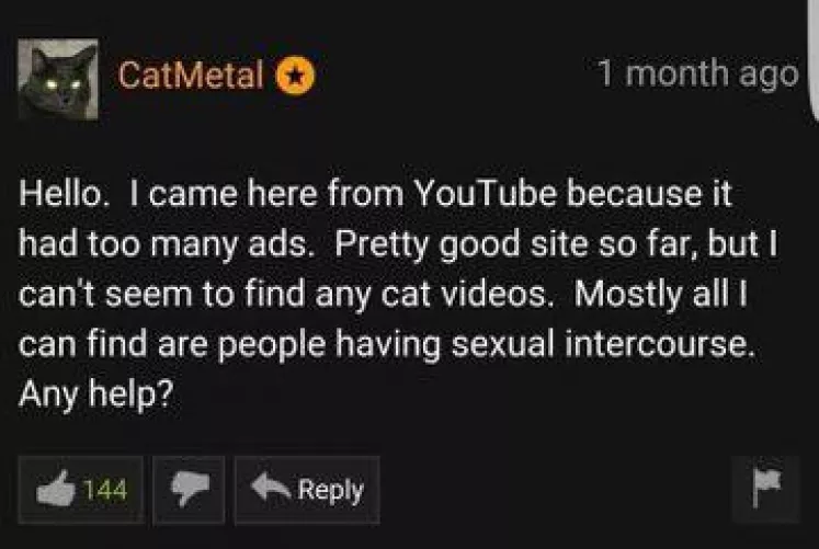 Where those pussy videos at?