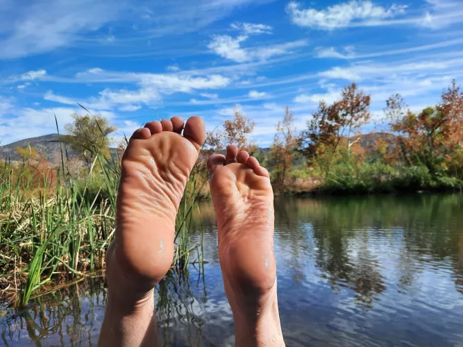 Who took my socks? They were right here before I took a nice day nap.... 😉