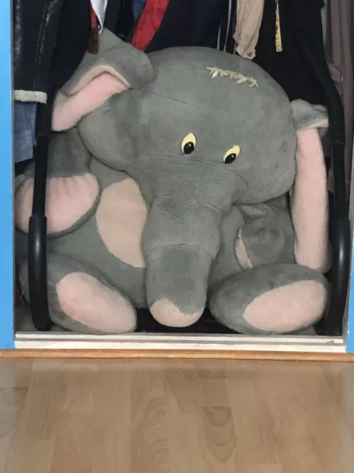 Who want to see me having fun with my big plushy while wearing panties? It had a hole between the legs