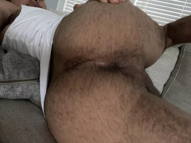 Who wants this hairy hole?