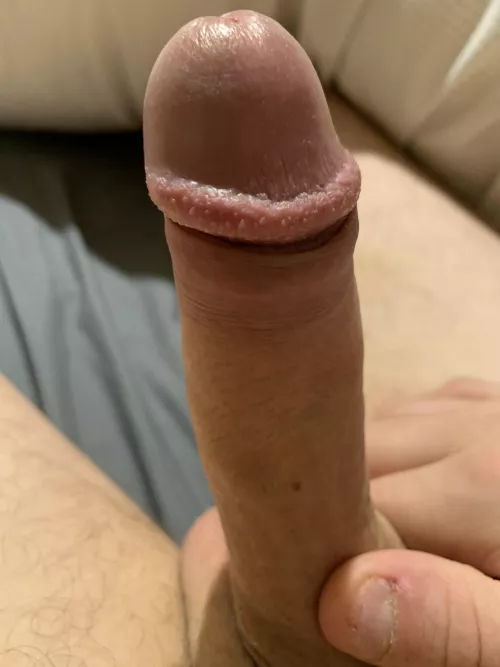 Would you like this prodding you in the back this morning (M)