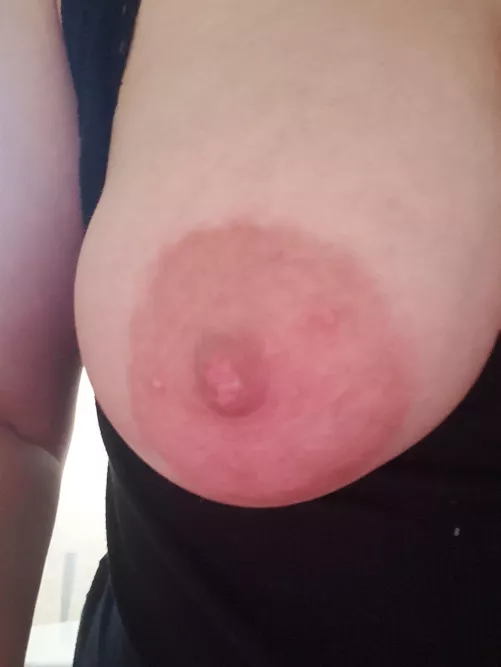 You don't shut up and imma stick this in your mouth and make you shut up! (F) 34