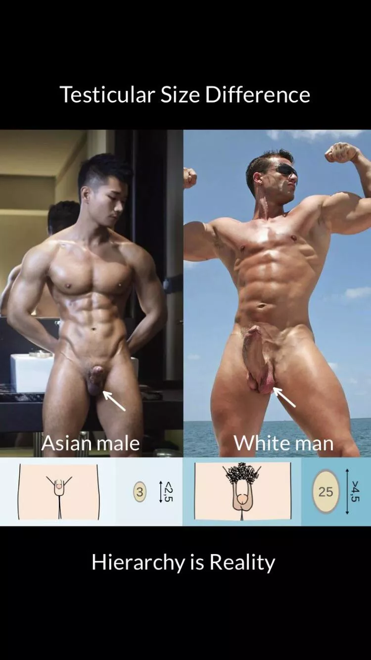 You re just inferior,no shame about it