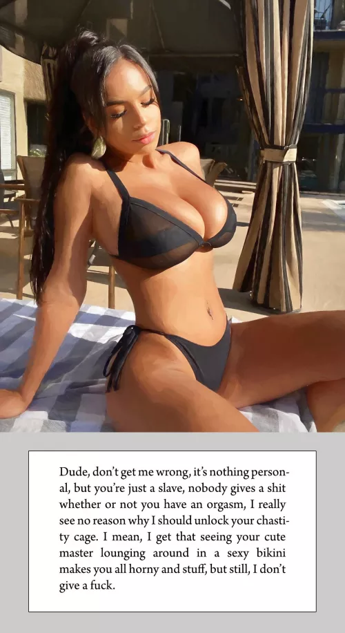 Your Cute Indifferent Master