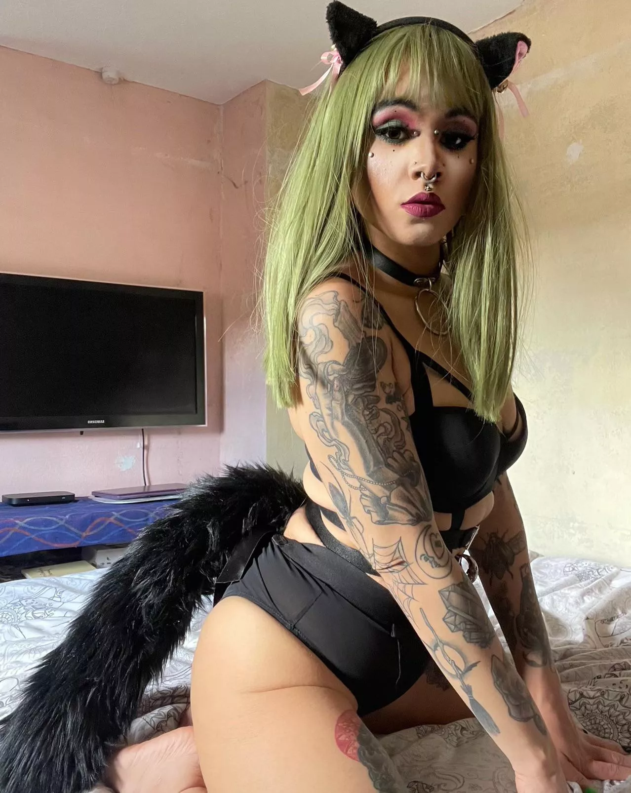 🐱