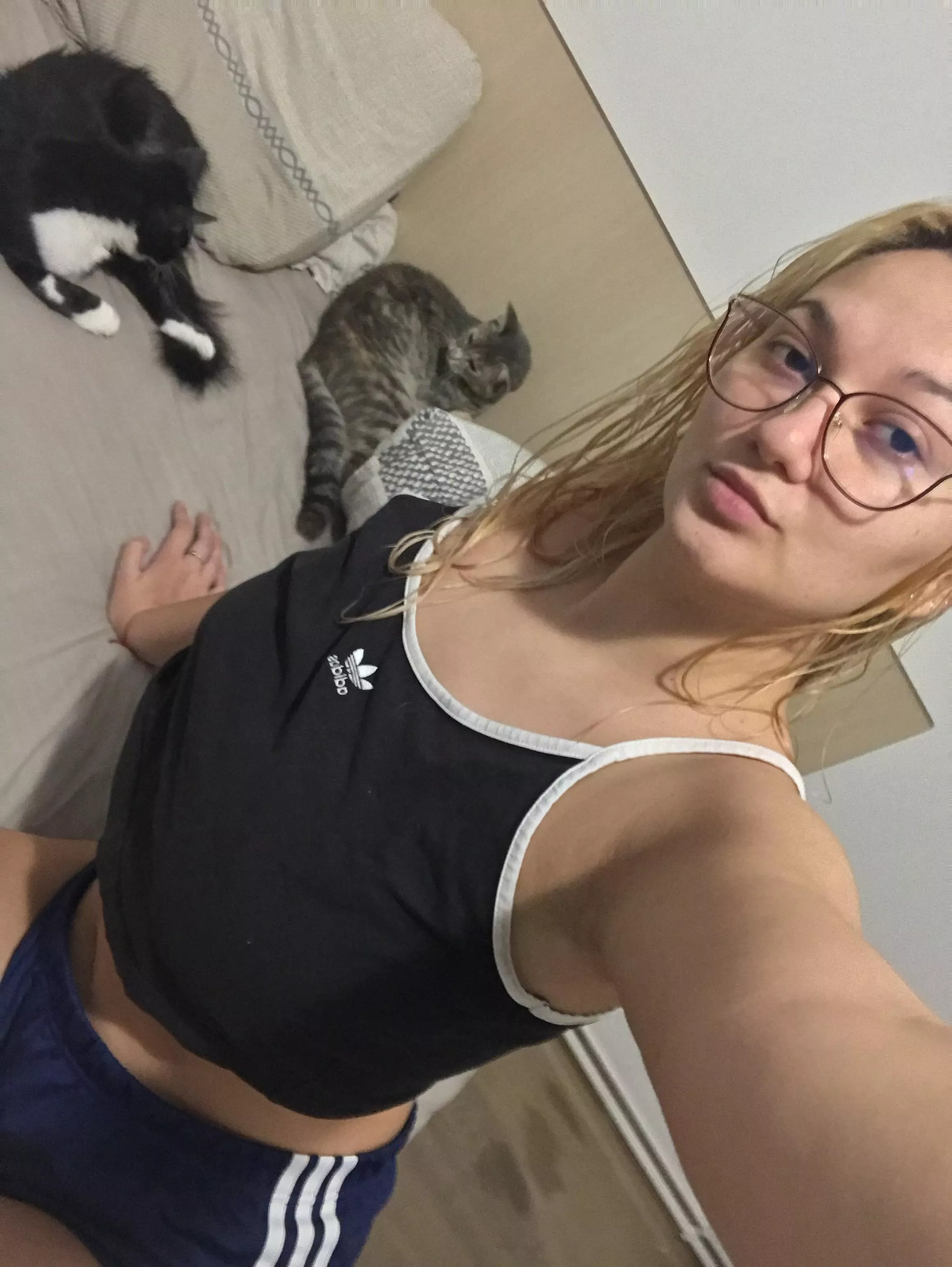 🐈🤓🐈‍⬛
