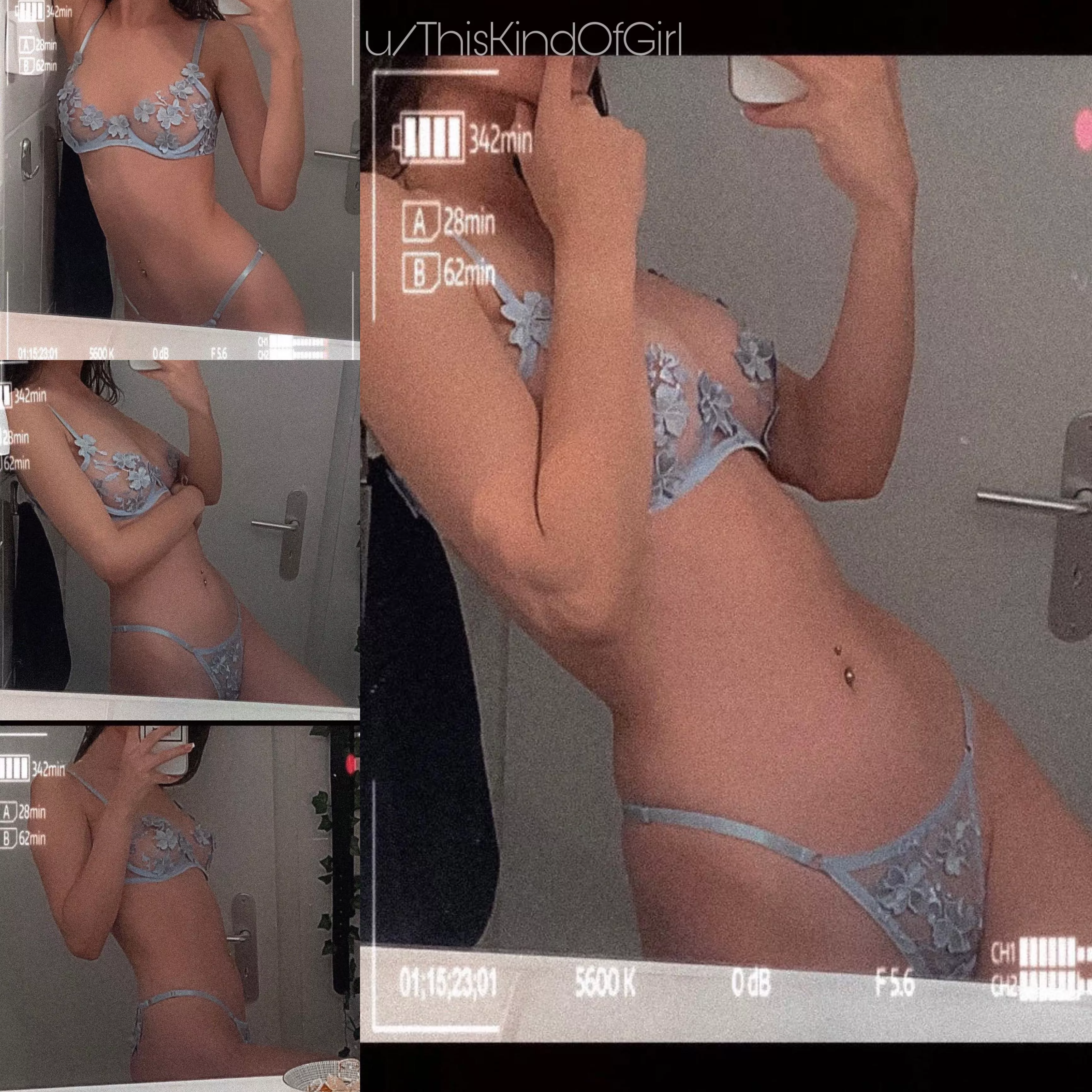 🦋 ~