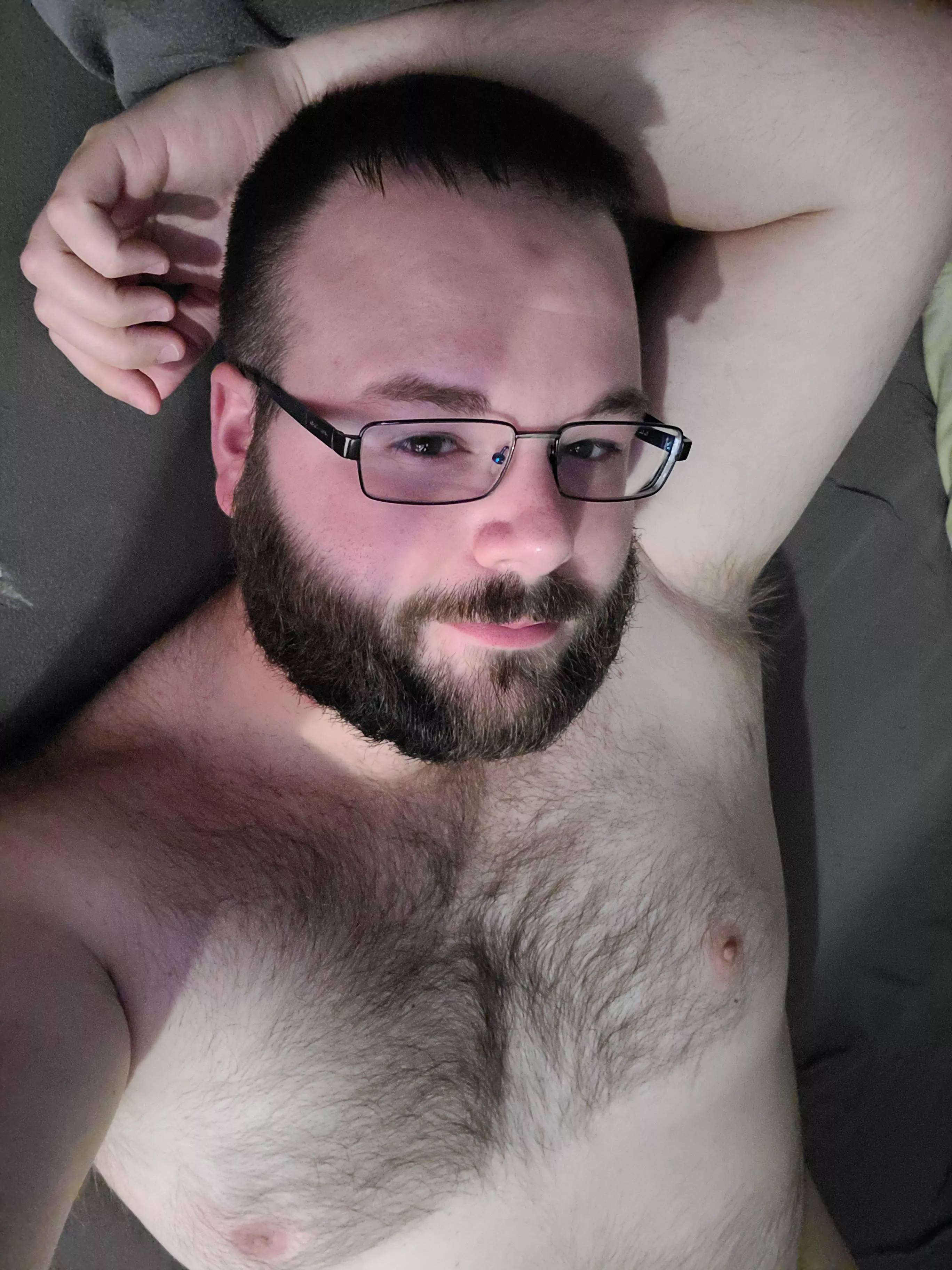 🐻