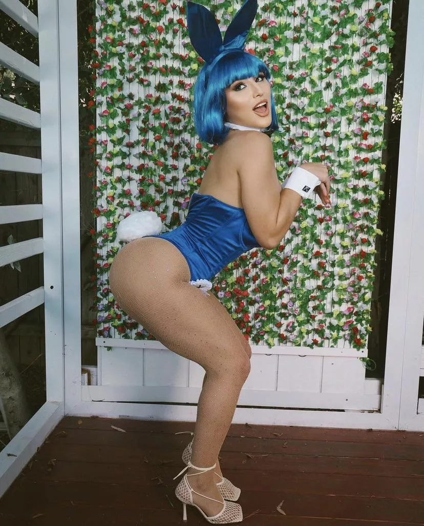 🐰