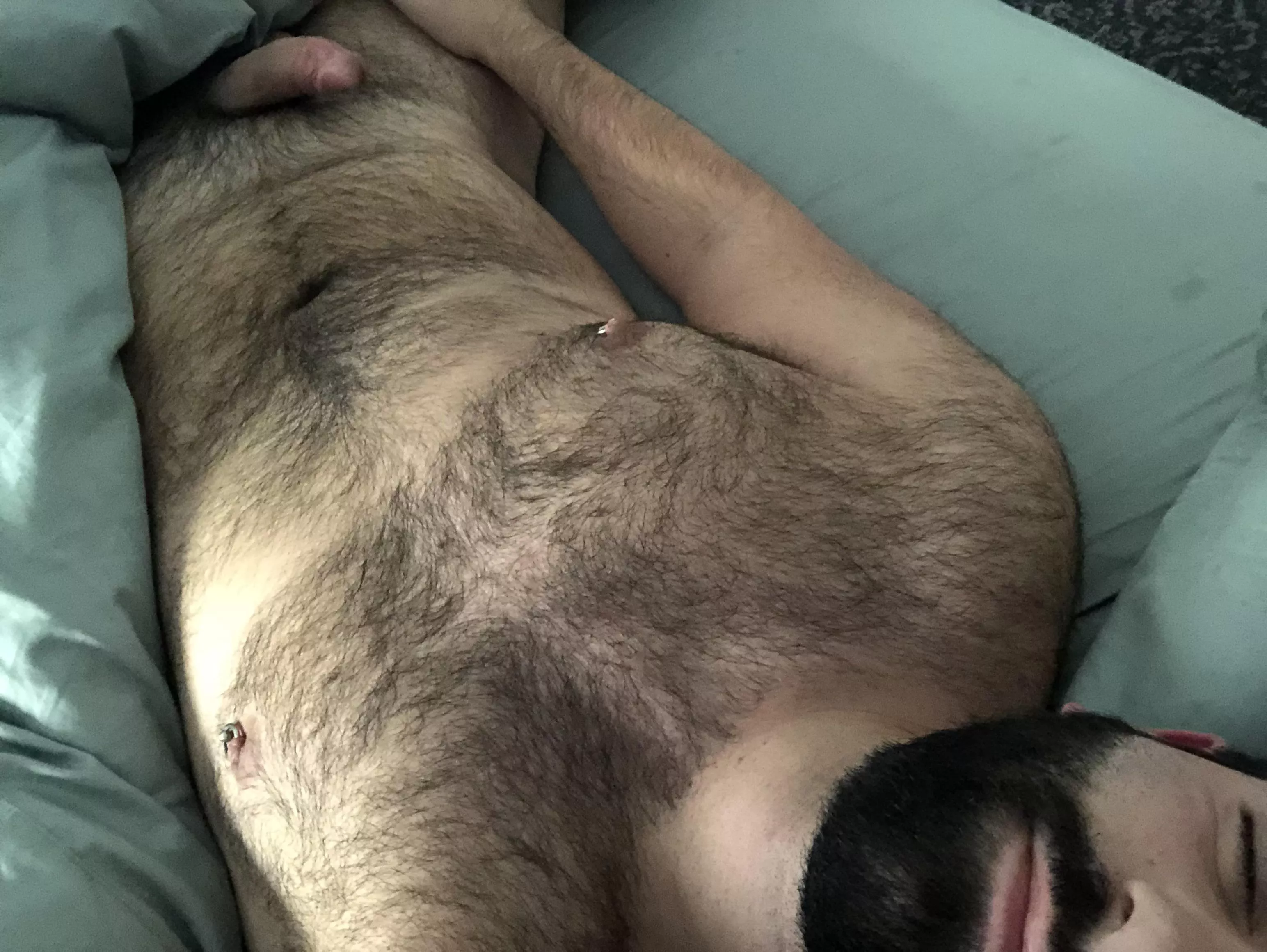 🐻