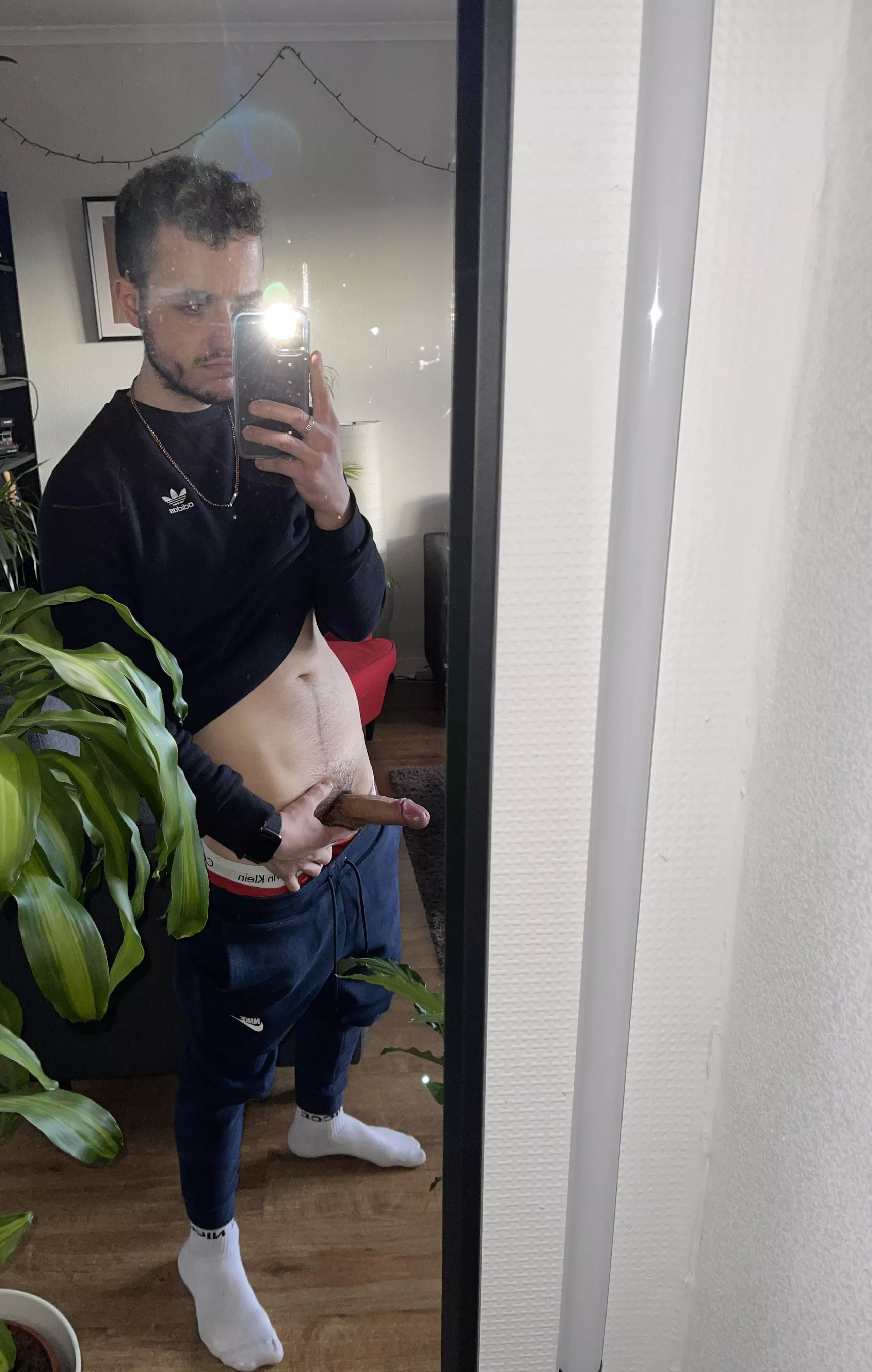 🍆
