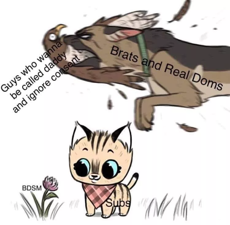 😂😂
