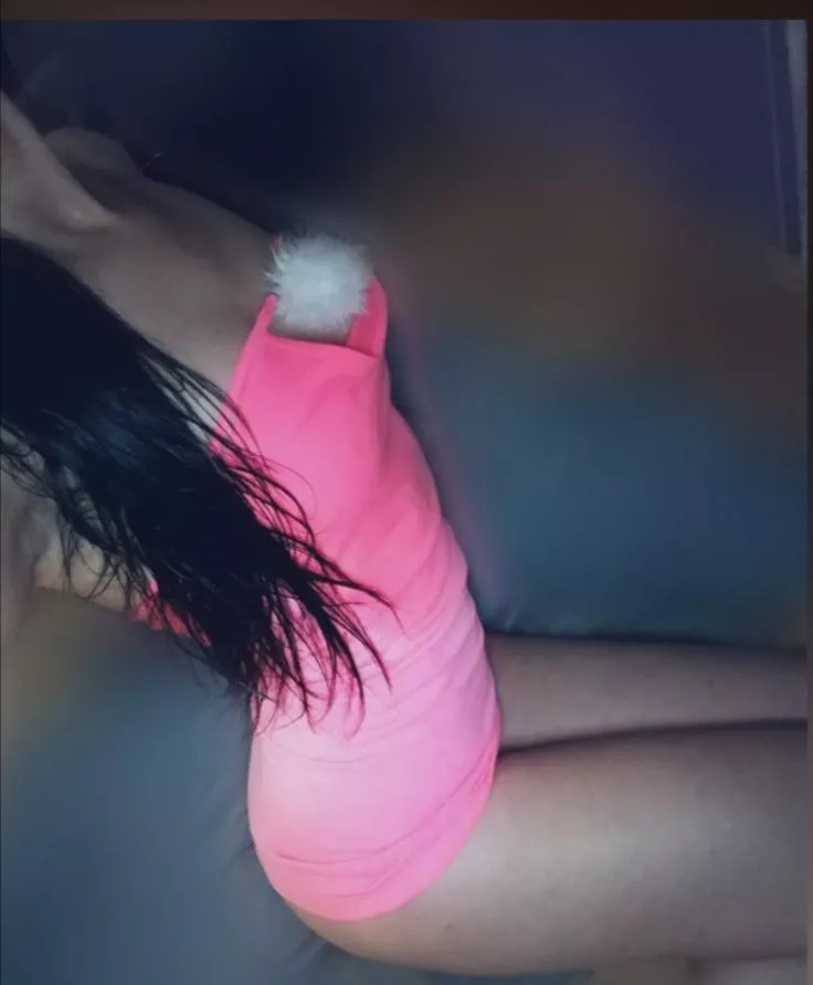 🐇🐇