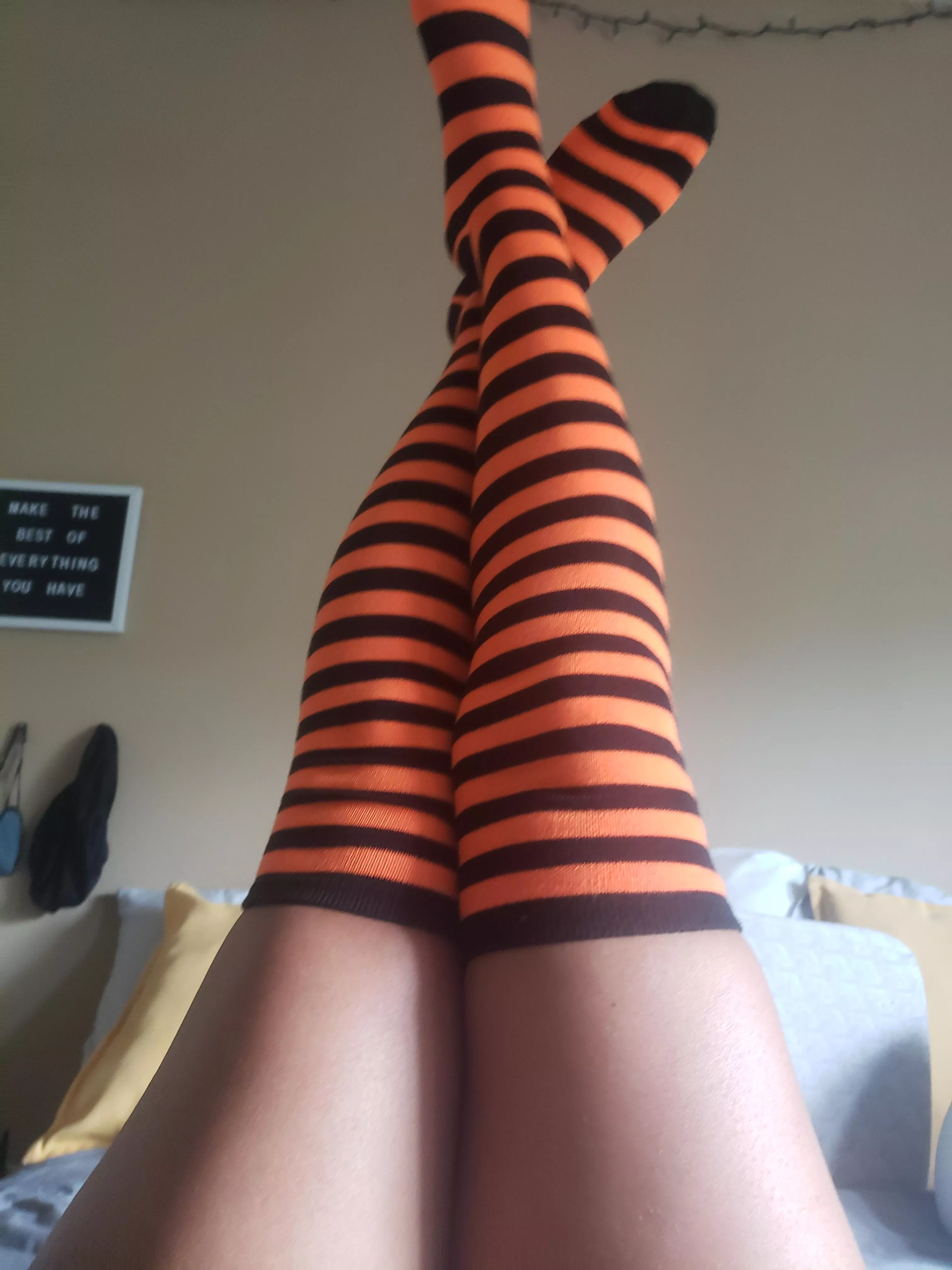 🎃🐈‍⬛🧸🥰