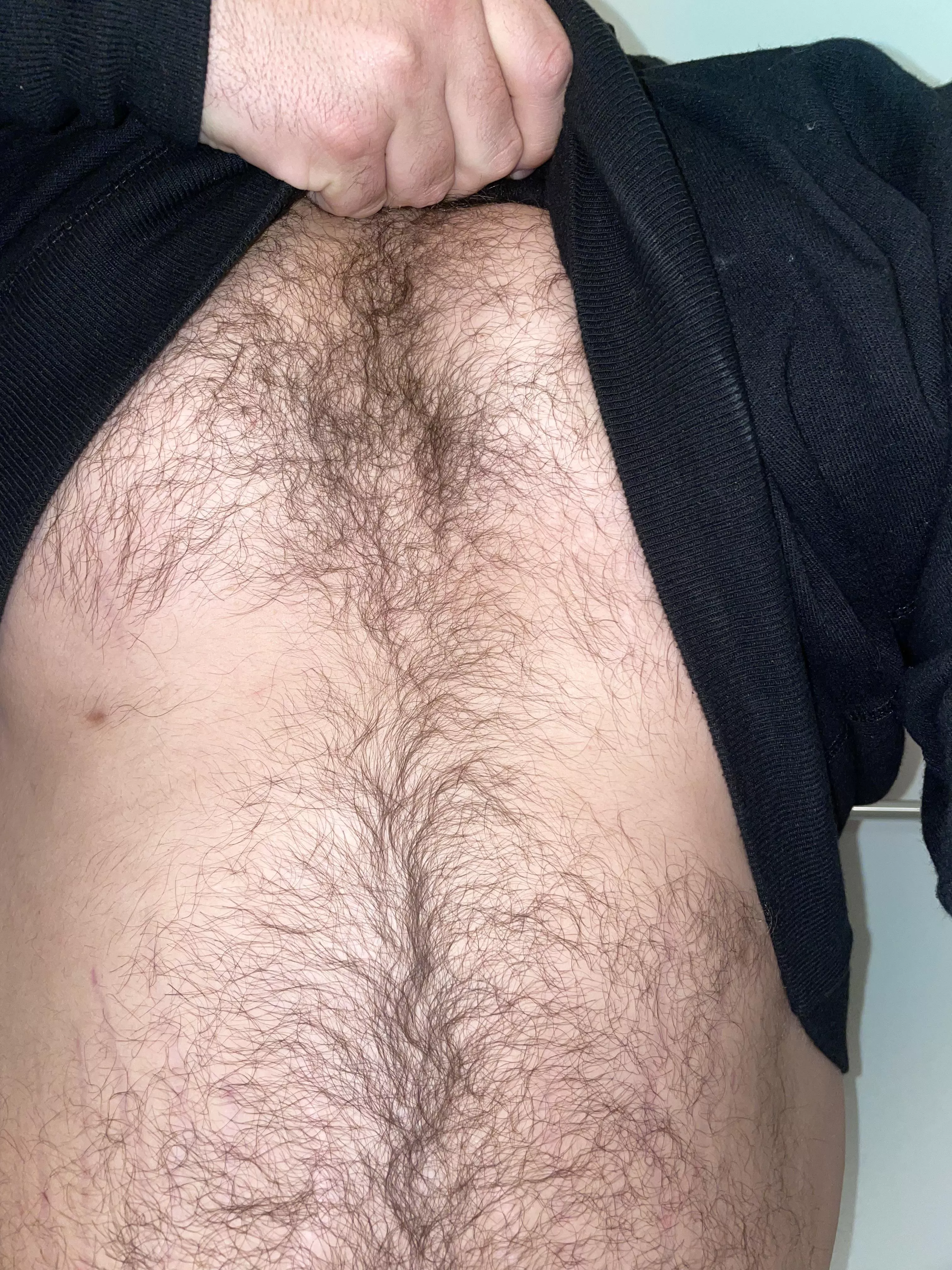 🐻