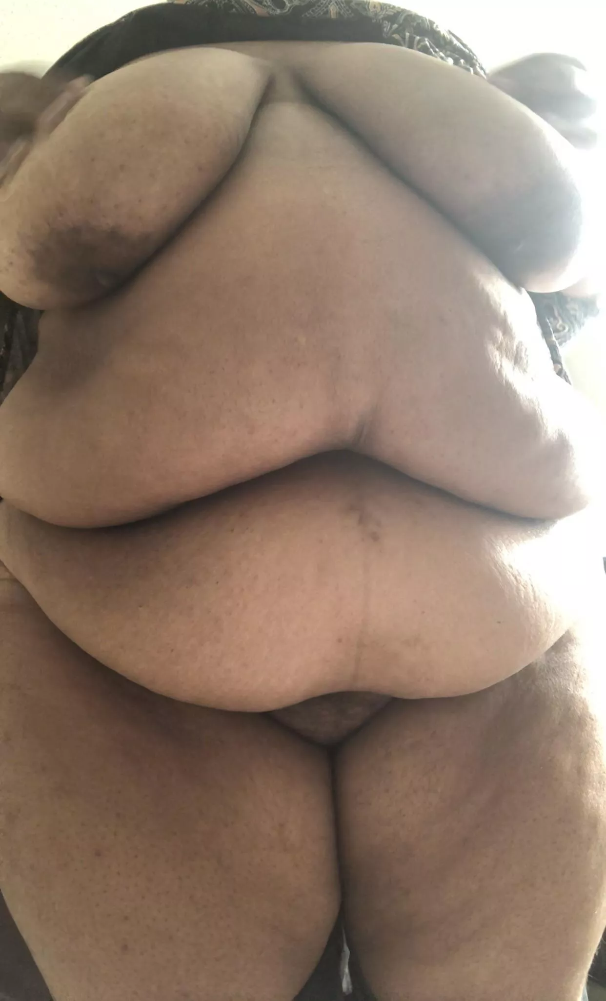 🐷