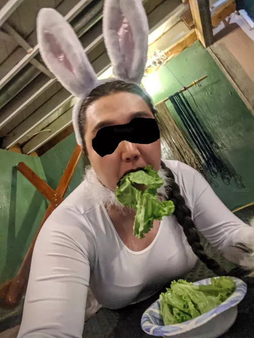 🥗🐇