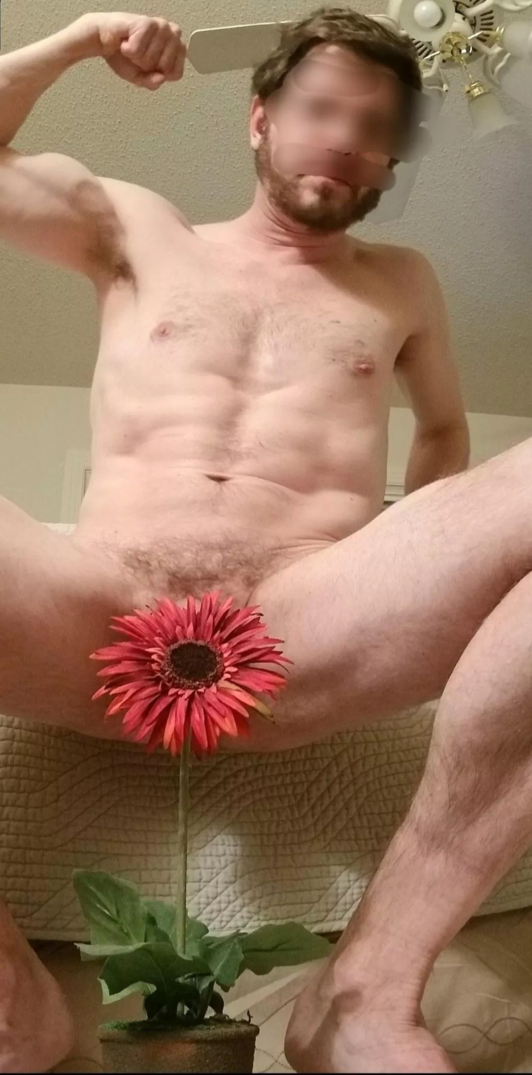 ⚘⚘🥀🥀