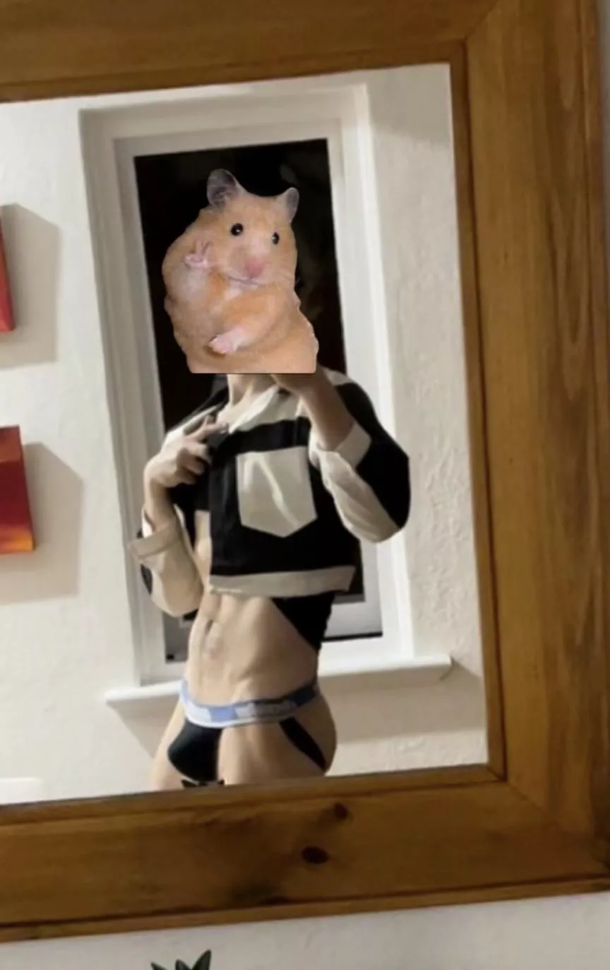 🐹✌🏻