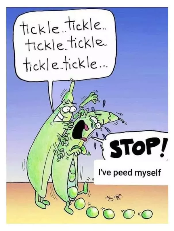 ☠️☠️