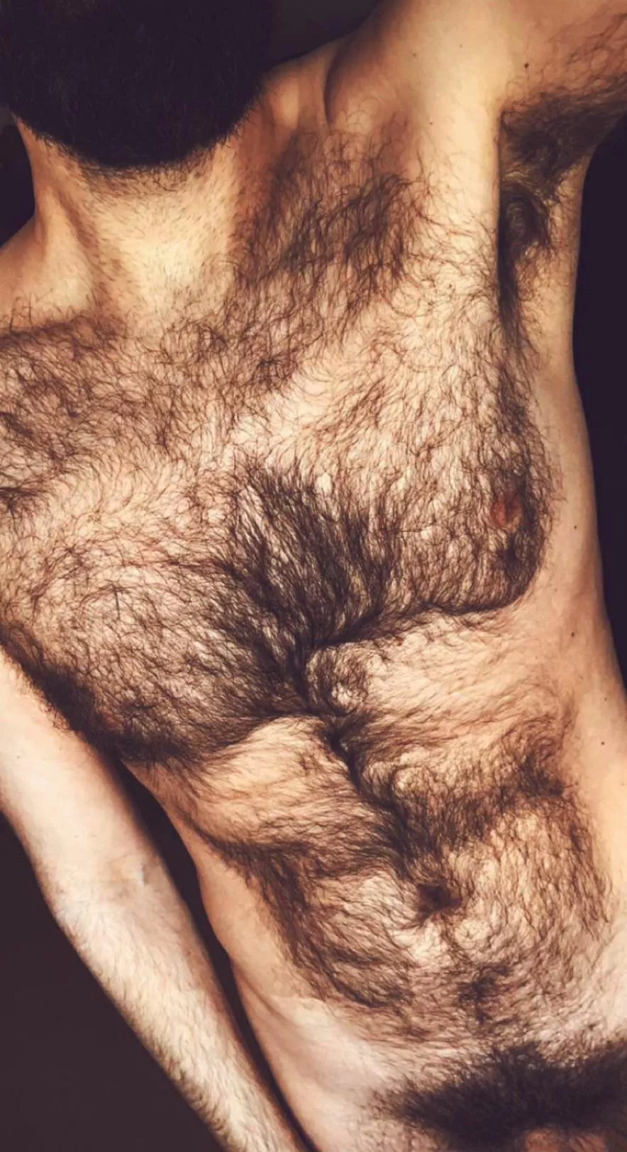 🐺