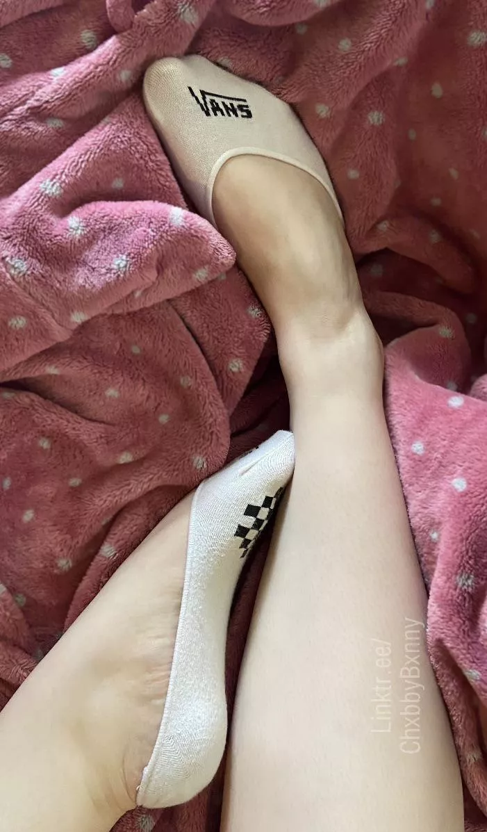 🌸🌸
