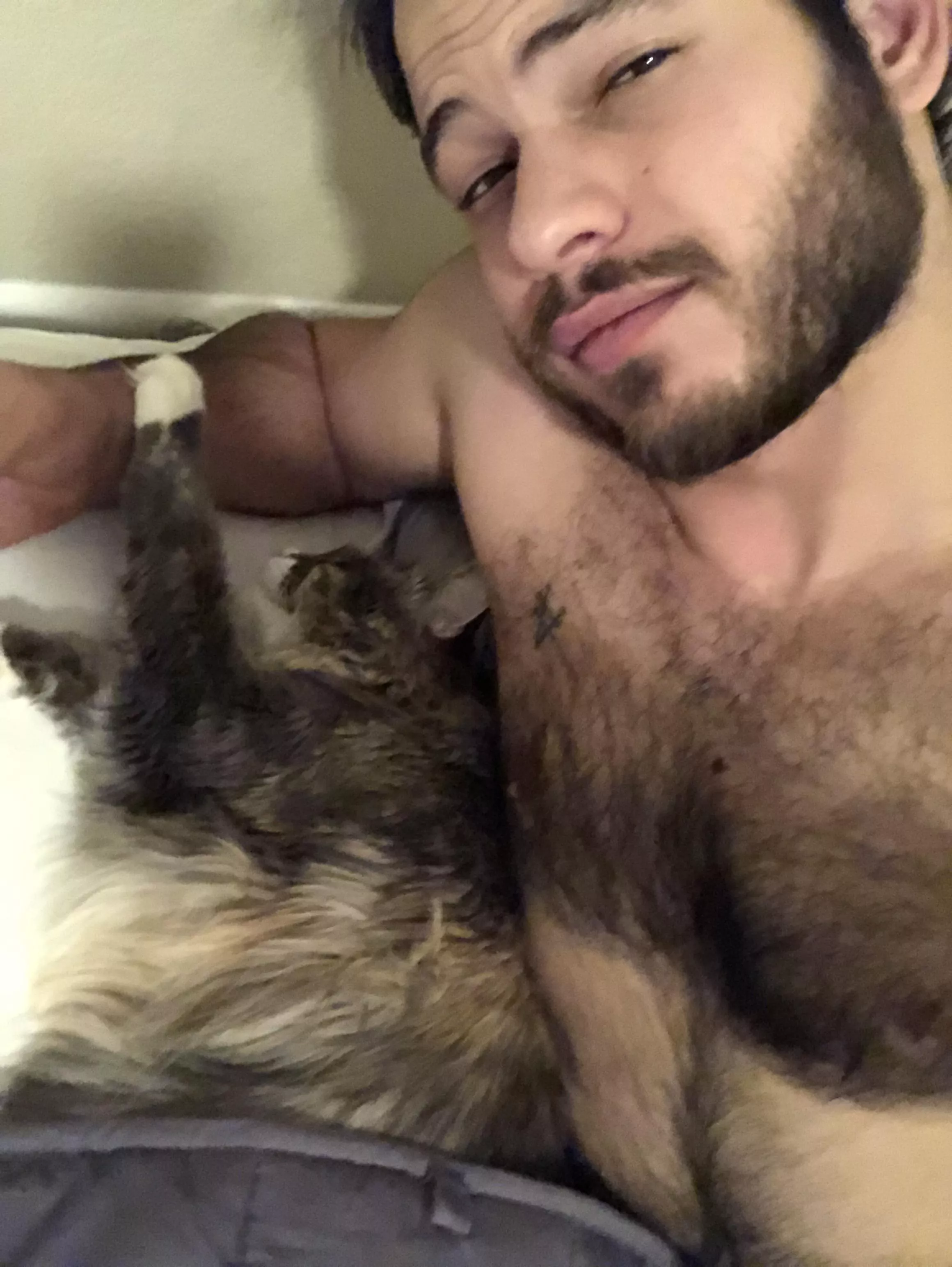 😸