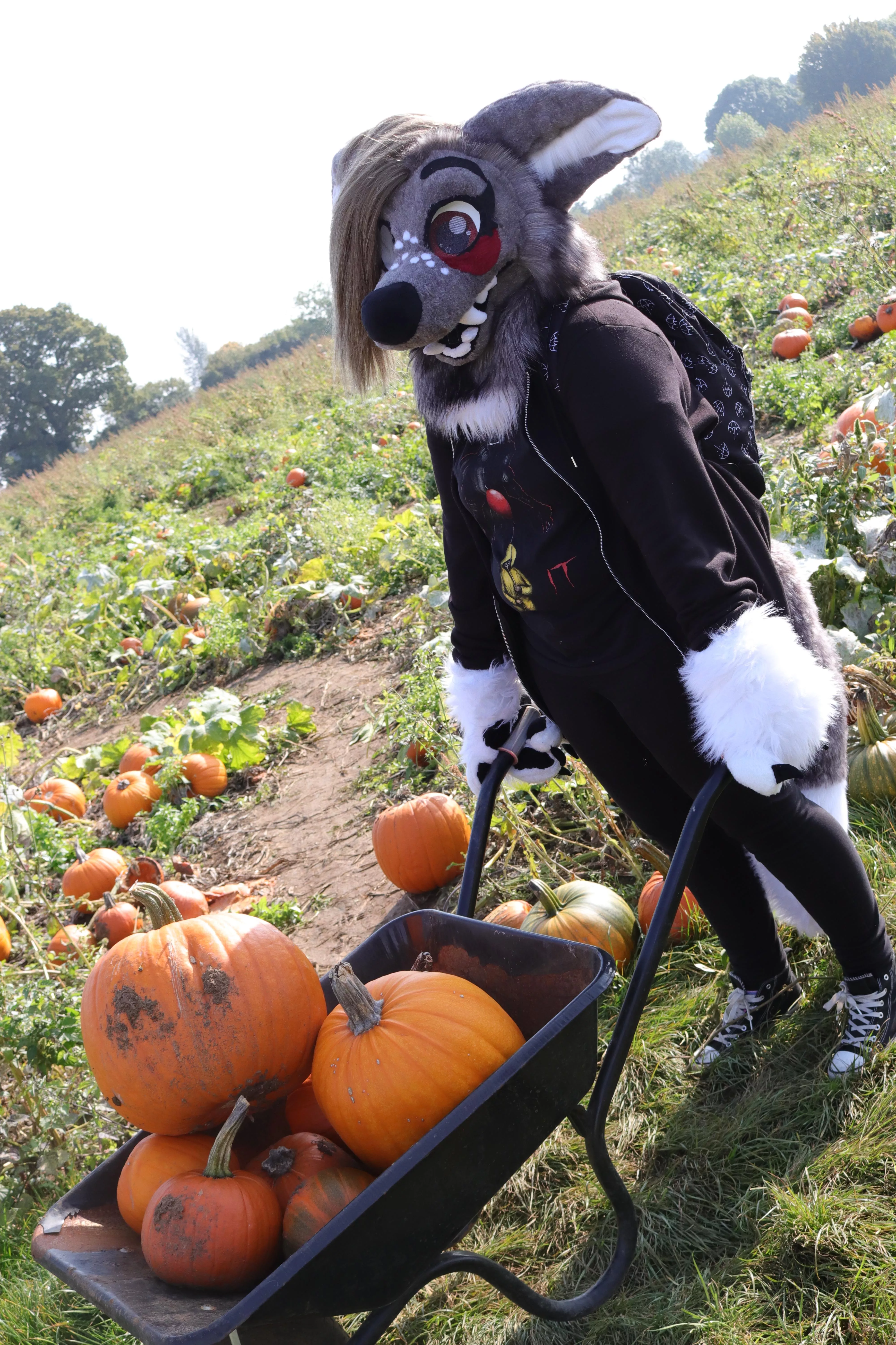 🎃🎃🎃