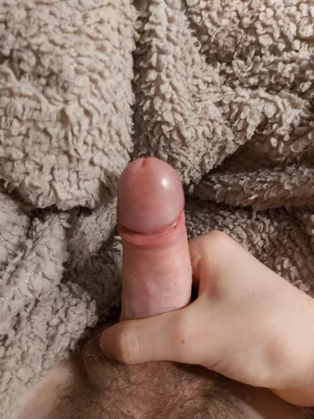 (18) Is this an ok size, or is it pretty small? Also I just shaved it.