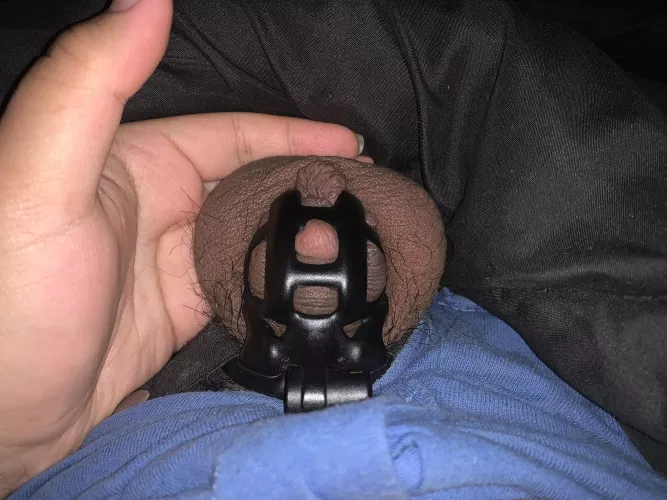 18 y/o been locked in chastity for 42 days - I’ve been so horny and all I can think about is sucking dick..