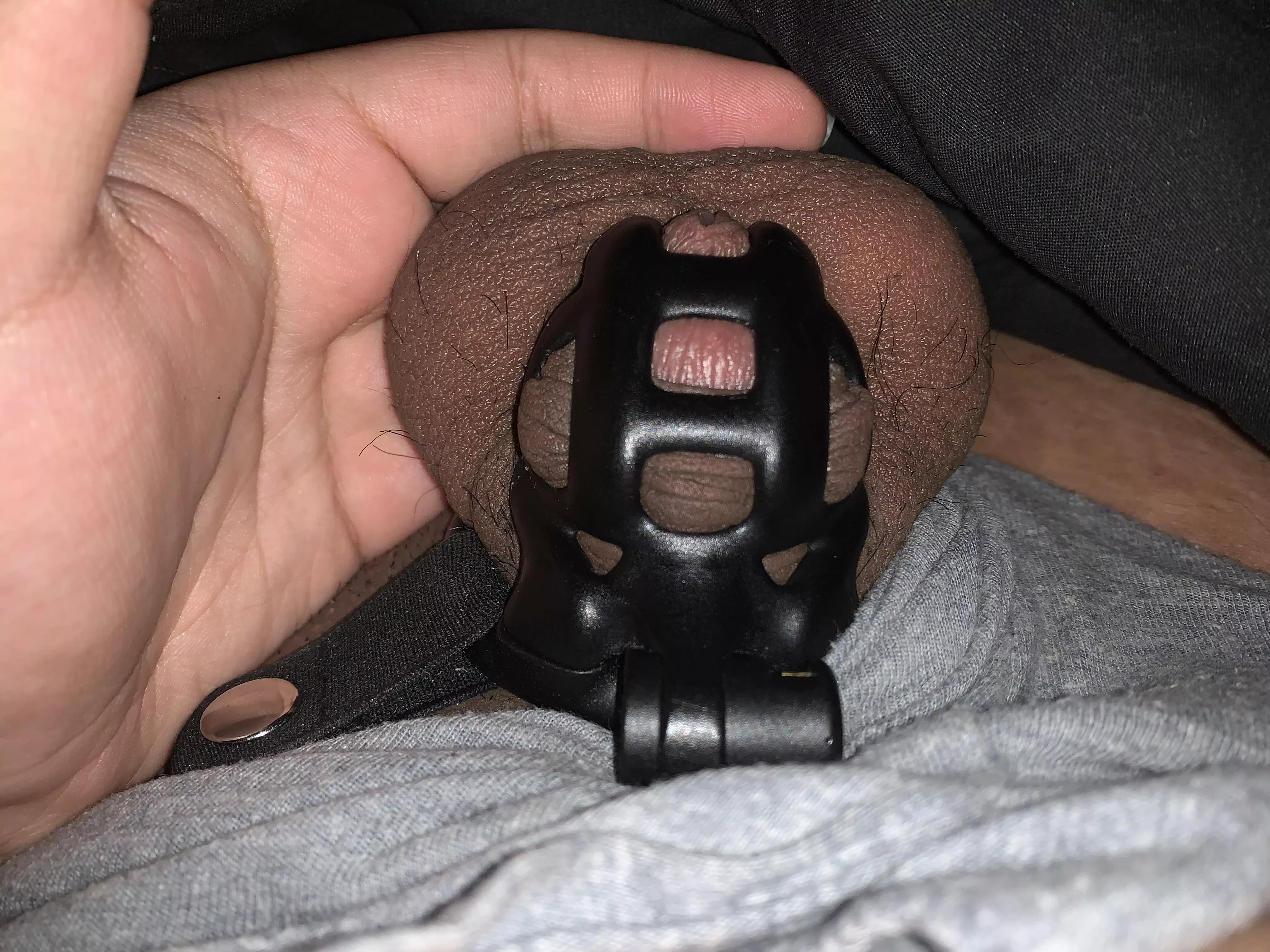 18 y/o day 18 of locktober - honestly I didn’t expect to make it this far and pass my previous record, especially since I haven’t had a single orgasm since I’ve been locked. It’s made me so horny too 18 y/o day 18 of locktober - honestly I didn’t expect to make it this far and pass my previous record, especially since I haven’t had a single orgasm since I’ve been locked. It’s made me so horny too