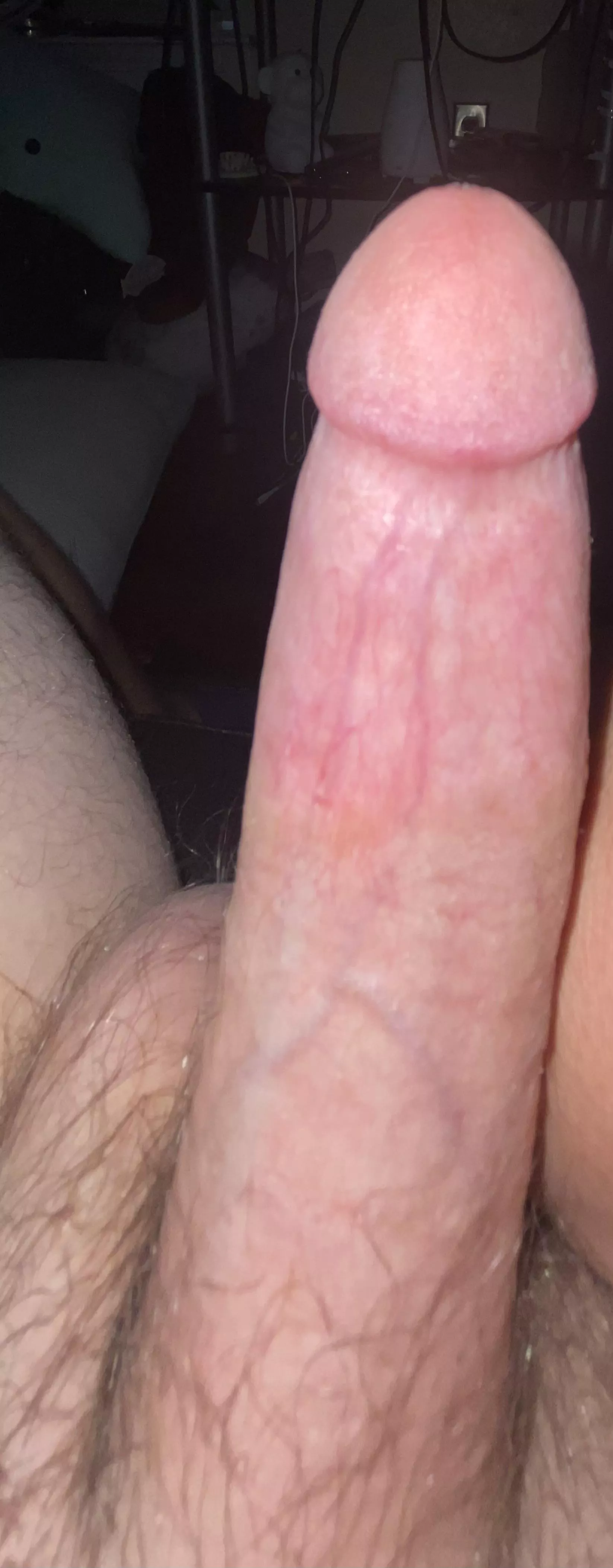 18,10 1/2 in