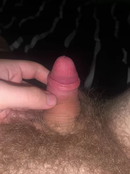 [19] here’s a small one for you!
