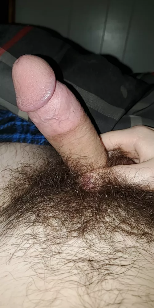 (19) Suck that hairy cock (19) Suck that hairy cock