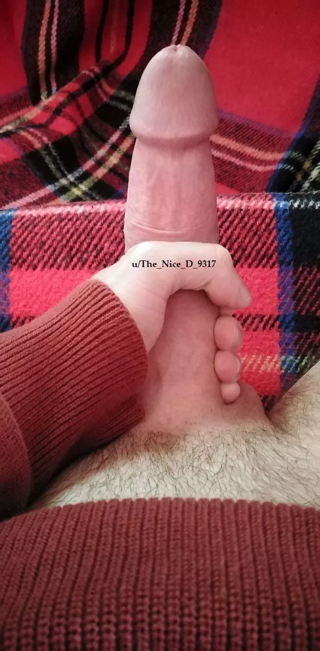 19cm