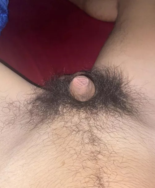 (20) early morning dick