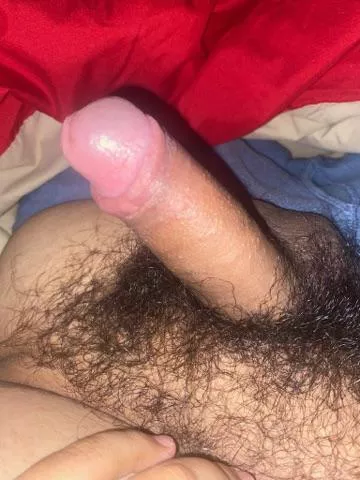 (20)who’s horny